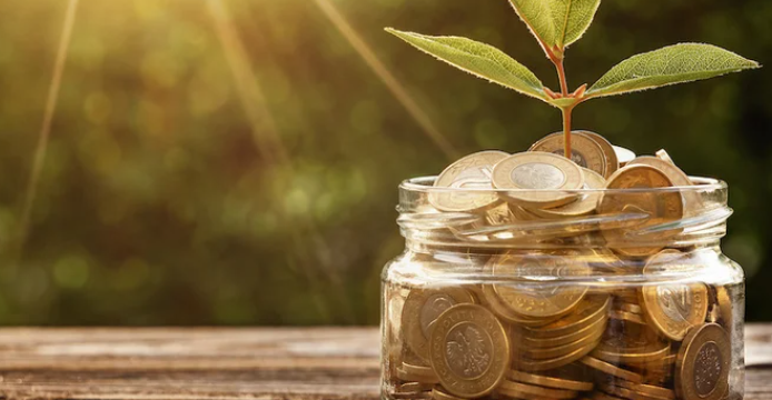 jar of coins with tree growing out of it